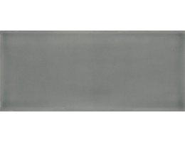 Фаянс 110x250 mm Joy Dark Gray