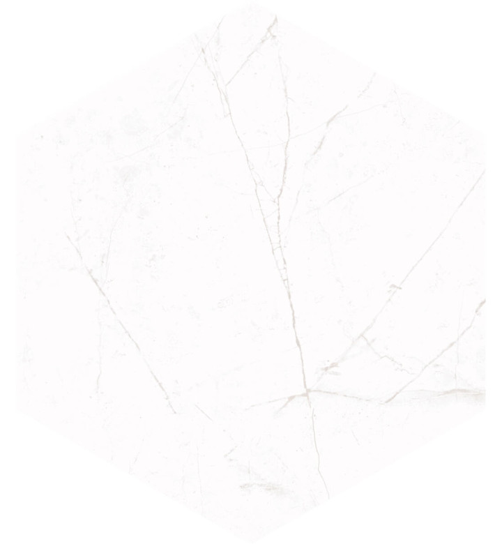 Гранитогрес Sterlina White matte, 21.5 x 25 cm, HEX