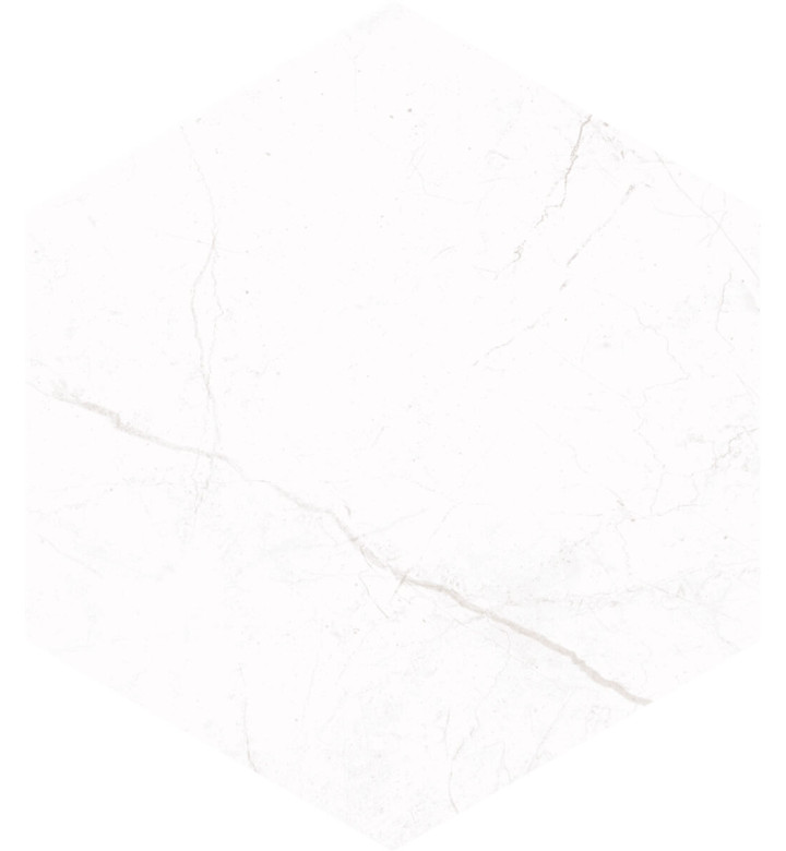 Гранитогрес Sterlina White matte, 21.5 x 25 cm, HEX