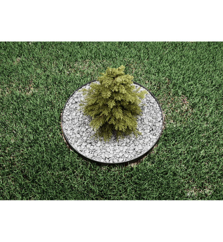 Разделител за трева с фиксатори, 3,8cm H x 6m L, Terra Country, 8260404.8-BK