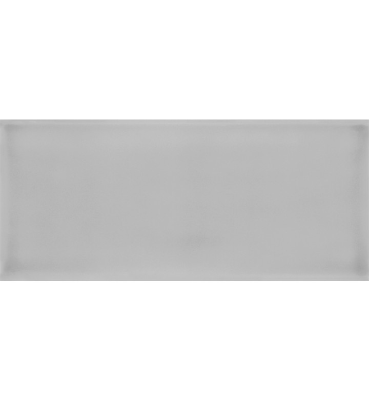 Фаянс 110x250 mm Joy Tender Gray